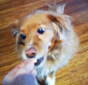 Doodle says "delicious!"