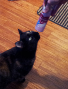 This is the moment just before Mrs. Peabody used both claws to puncture MomFOD's hands to get the treat. We omitted that photo due to its violent nature.