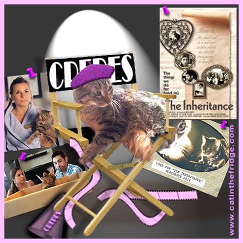 This beautiful graphic was made for us by Ann at Zoolatry to help promote our film. Thank you, Ann!