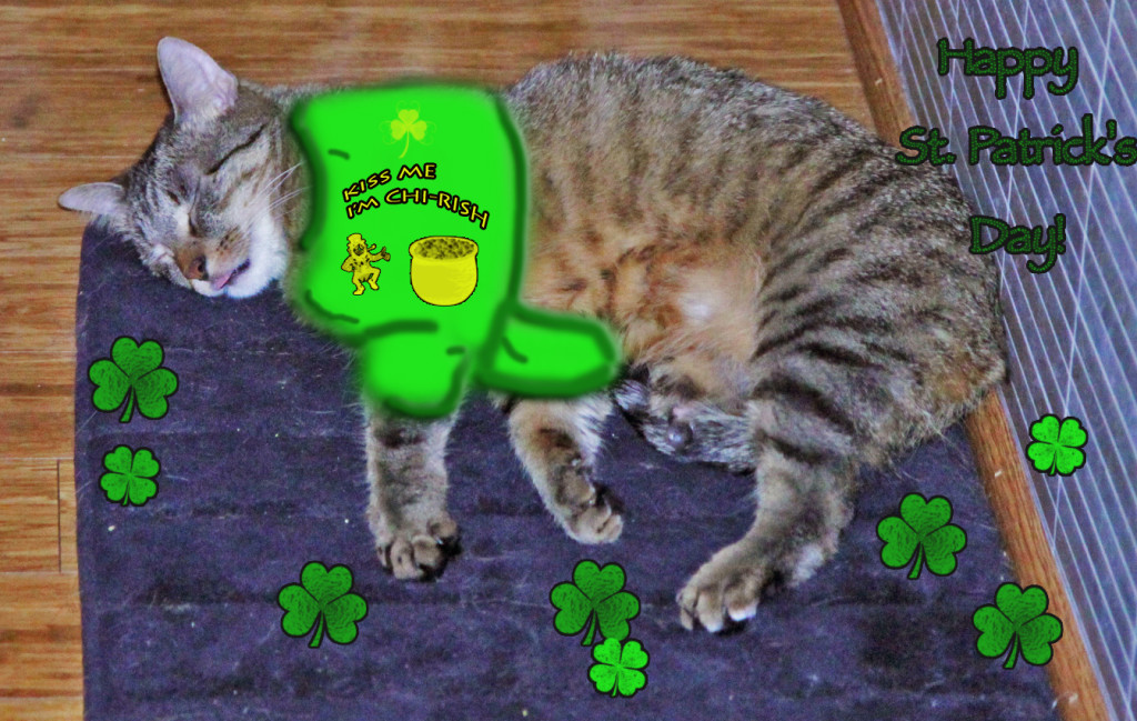 Me in my festive T-shirt. What do you think? 