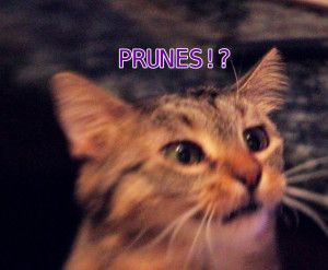 Poop samples don't come easy for everyone.