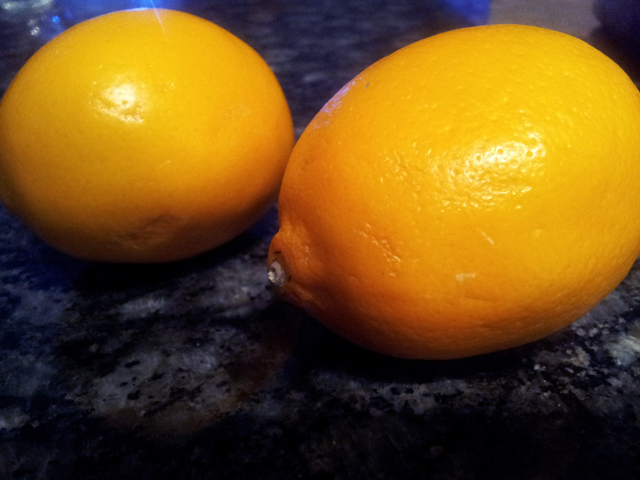 Don't use lemons in a cat's immediate area - they're sensitive to citrus.