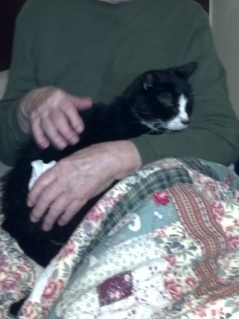 Levi hard at work being snuggled.