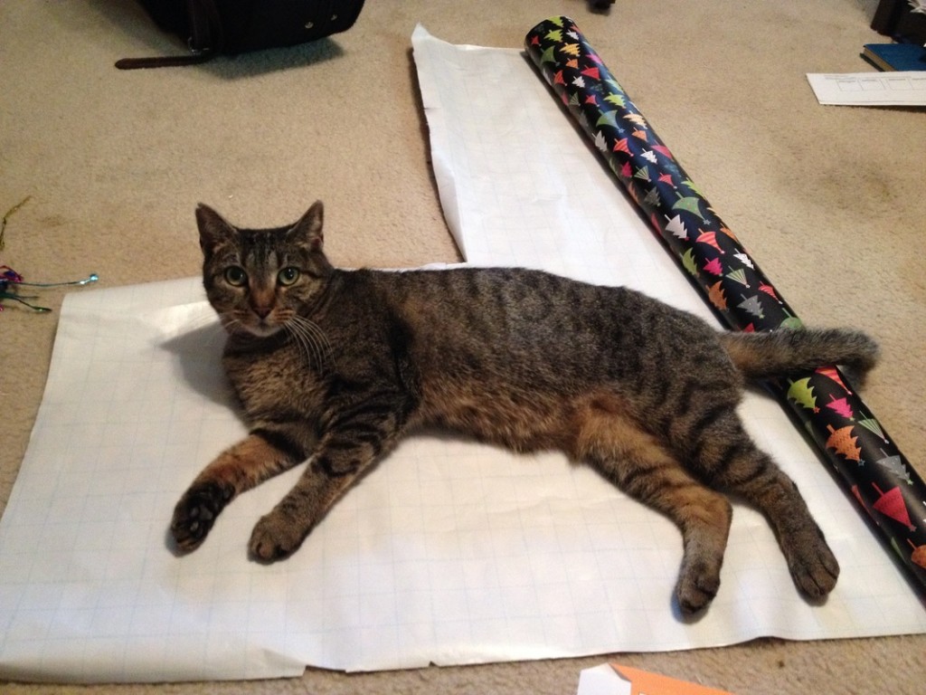 Sassy, unknowingly being psychically read.