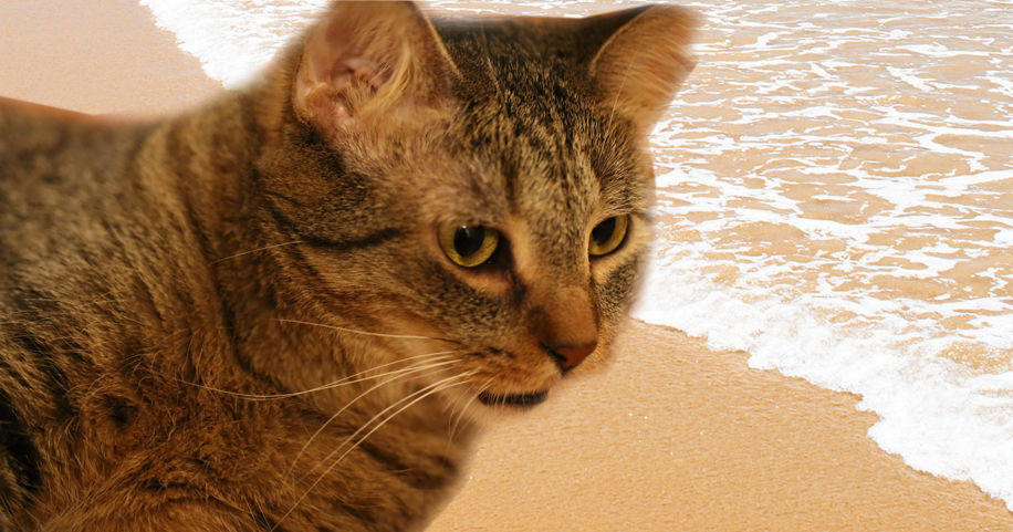 Some things cannot be unseen.