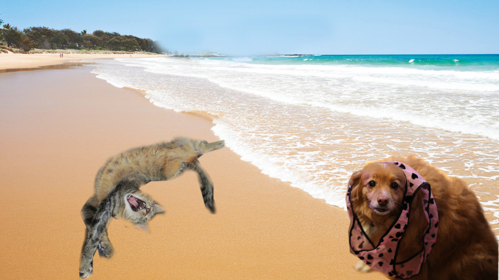 This is MY shoot, seabeast!