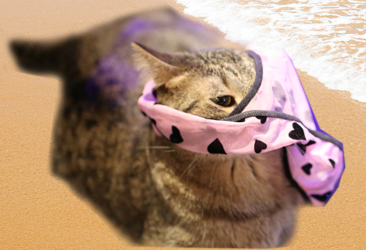 A playful shot to start as I warm up.