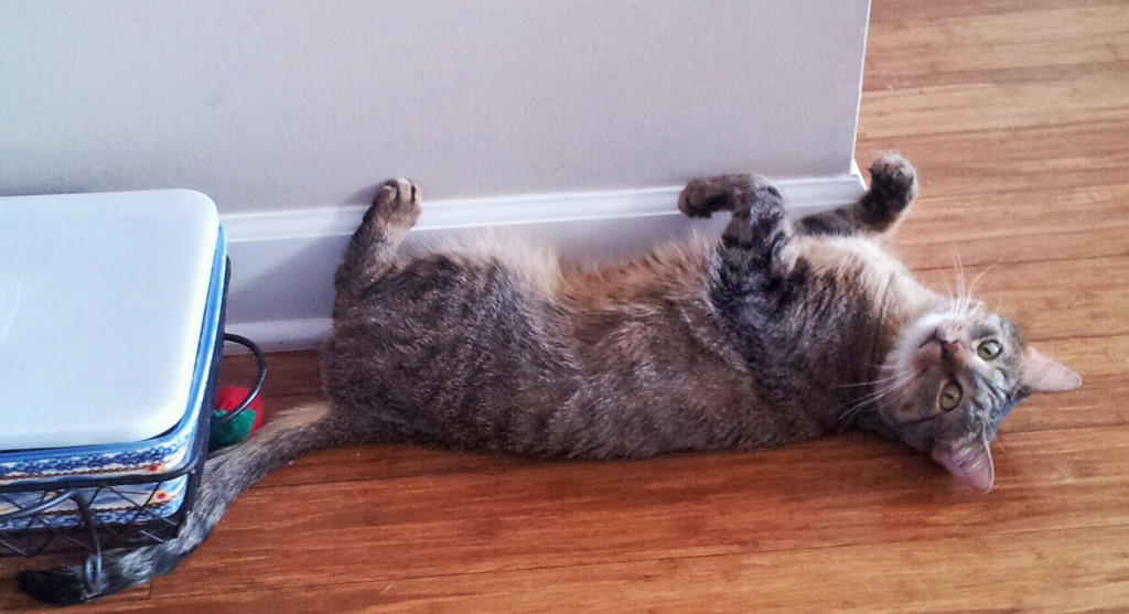 Me seeking attention.