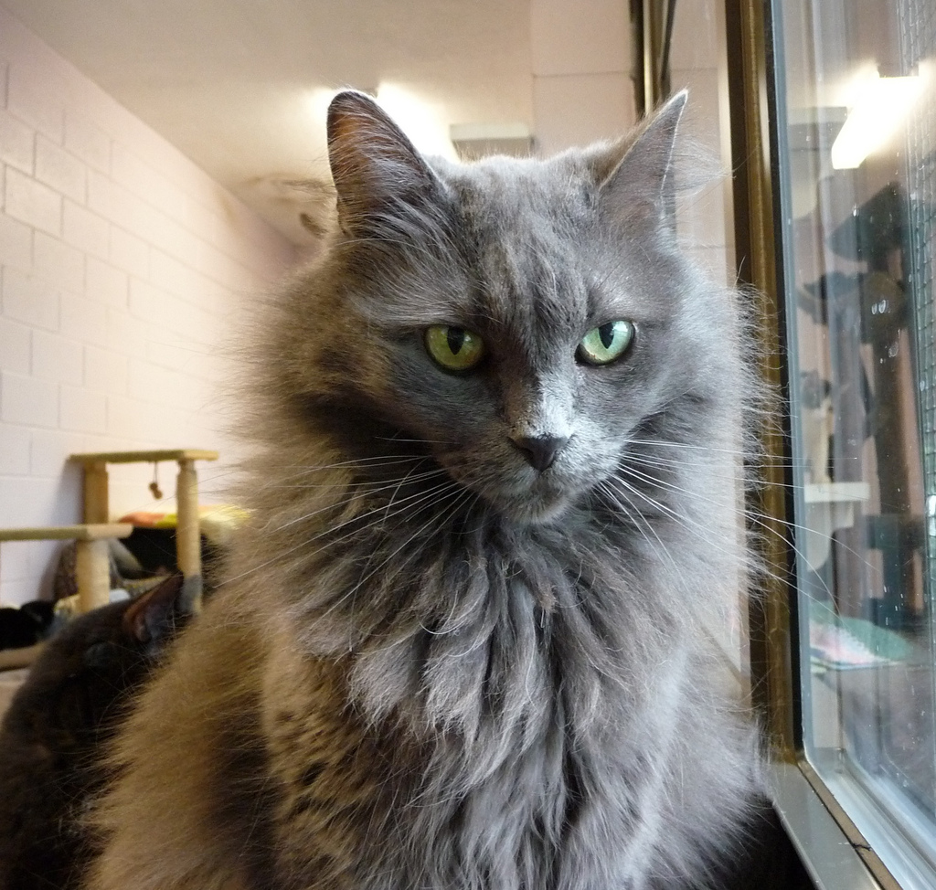 Striking a pose, as only a rock star can.