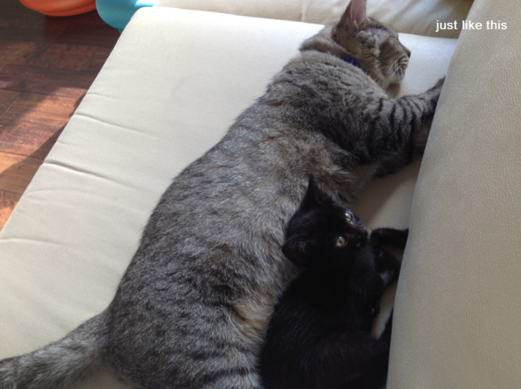 Gio in the middle of teaching lounging to a lounging newcomer.