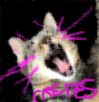 For Crepes, by Crepes.