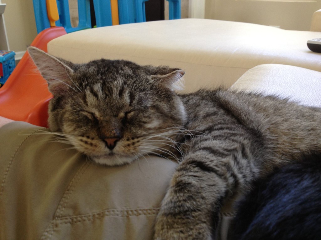 Gio, doing his thing. 