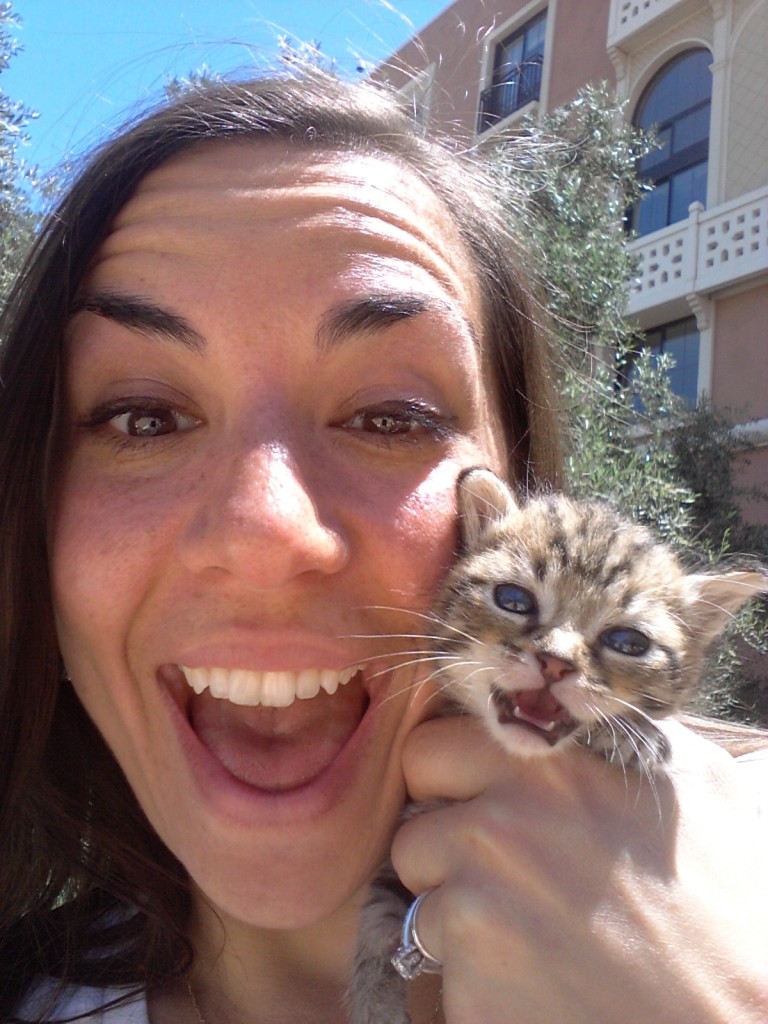 Kitten Selfie! 