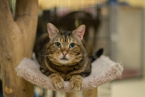 Philbert, waiting patiently. Until you open the door. 