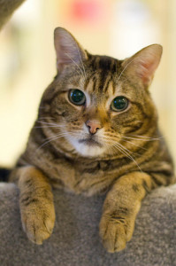 Seriously, guys? I still don't have a home?