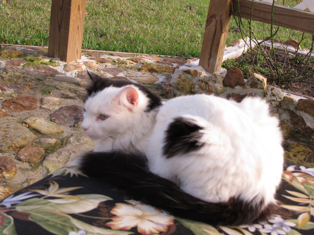 Arty: Please help find her! 