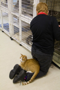 Resourceful, isn't he?