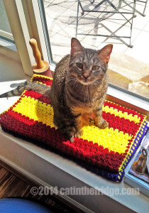 Catghan, modeled by me. 