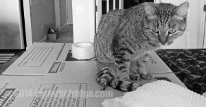 I see these boxes. Inwardly, I weep.