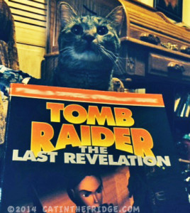 The book of all knowledge