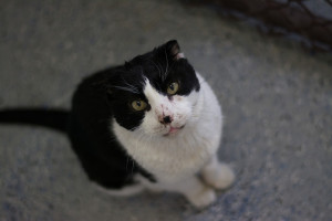 Waiting and hoping and thinking and drooling.