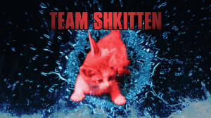 airpaws_tot_shkitten_fb