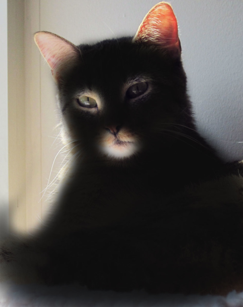 if crepes were black