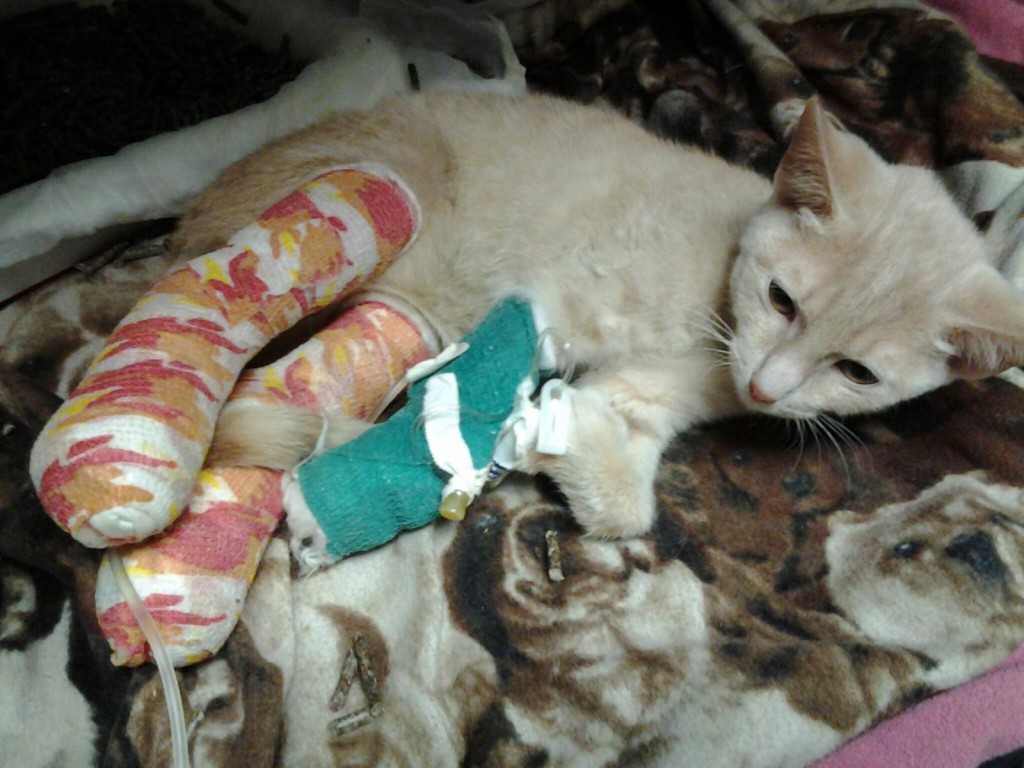 Post surgery. Ready to heal! 