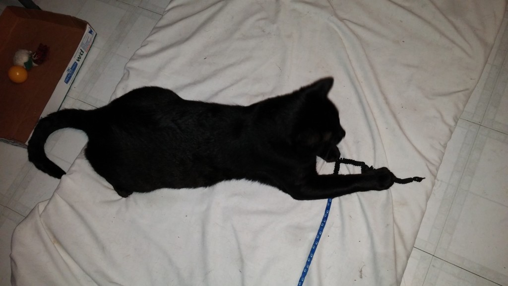 Like a shadow, but with a string.