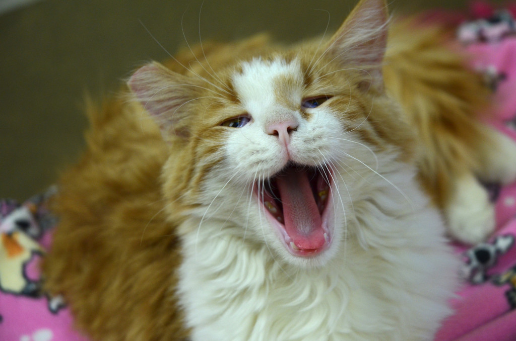 Todd realizing how grand love is. 