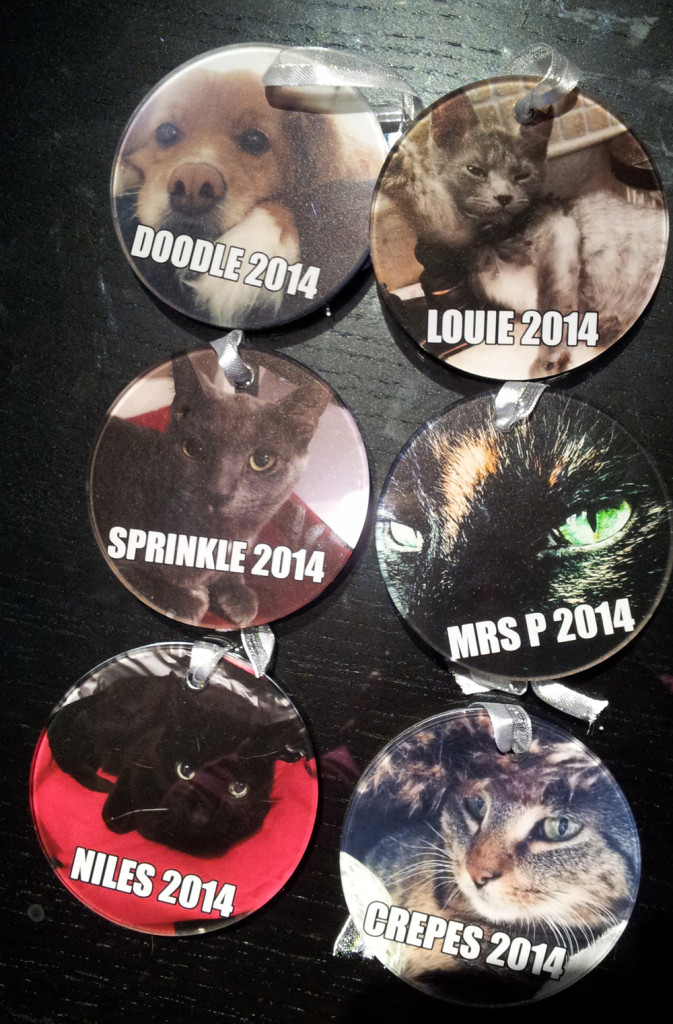 The 2014 Buddy Set, front side.