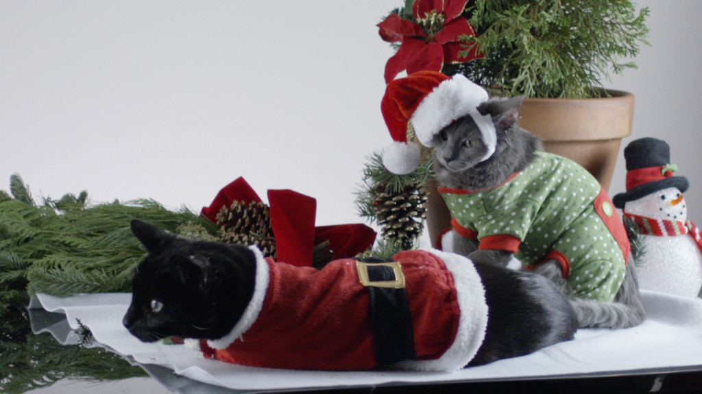 Sequence 01.00_04_12_08.Still002