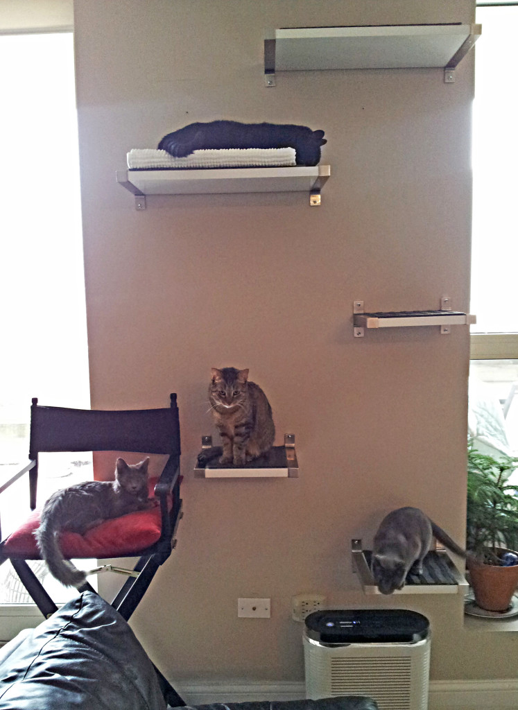 The finished product. 