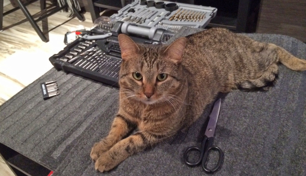 Supervising the build. 