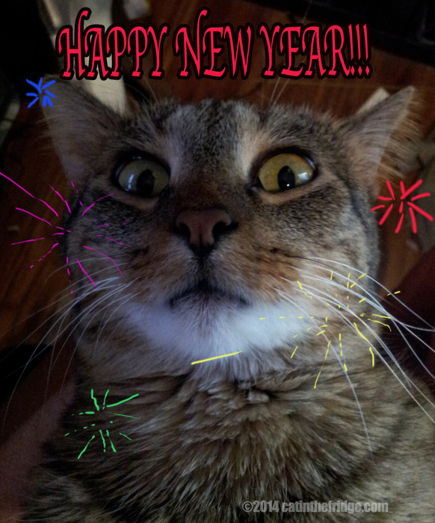 I really hate fireworks but I did them for you. 