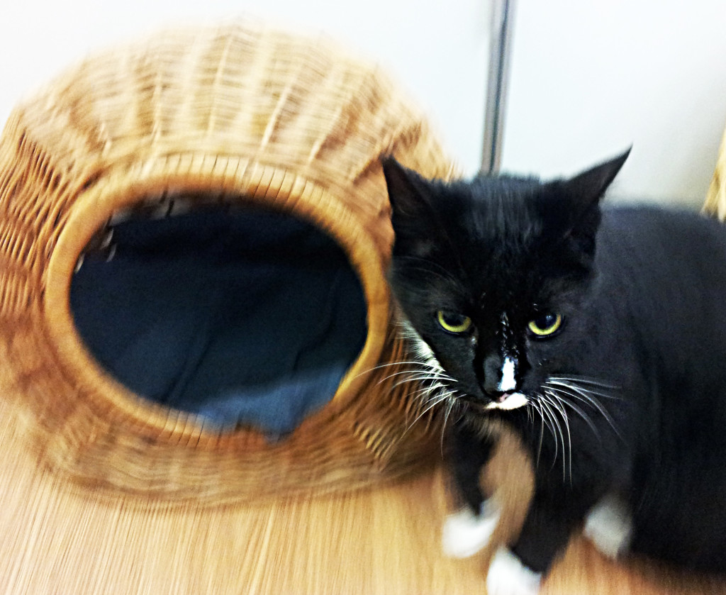 In or out... in? or out?