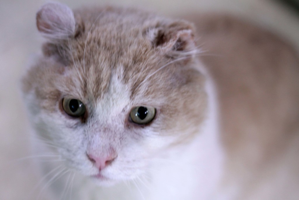 This is no good. I need land with a water source. And some litter. 