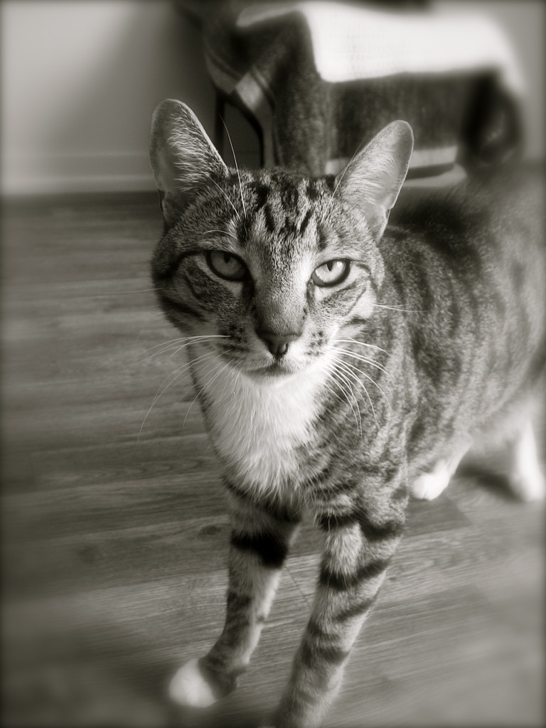 Loving life, despite the hallucinations. 