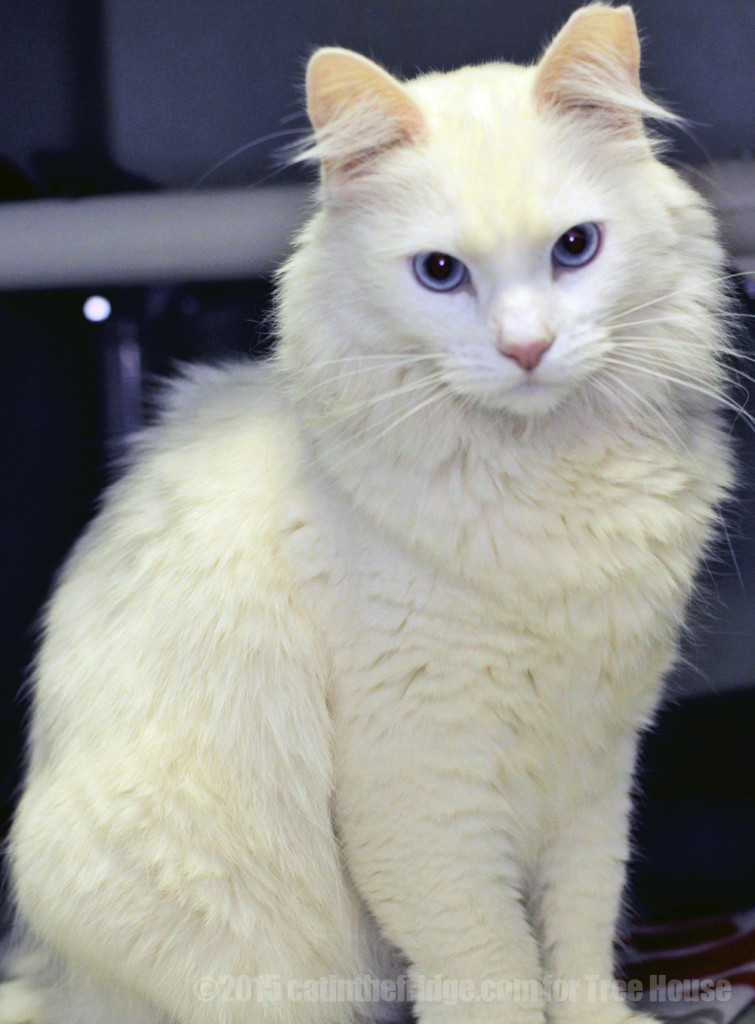 "Would you touch me? I'd touch me." -Inuit.