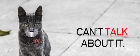 Screen Shot 2015-02-04 at 10.51.44 AM