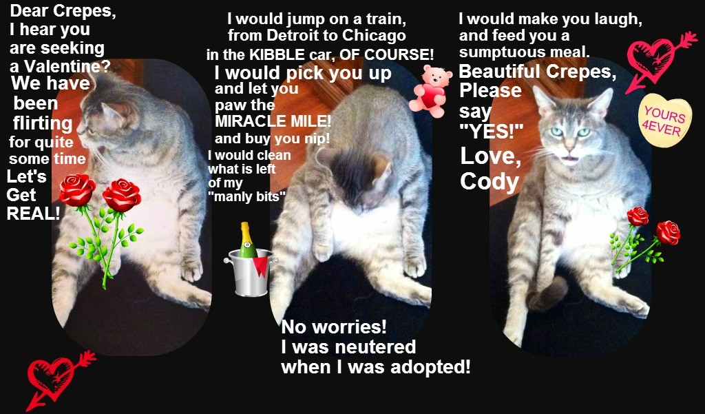 cody and crepes collage