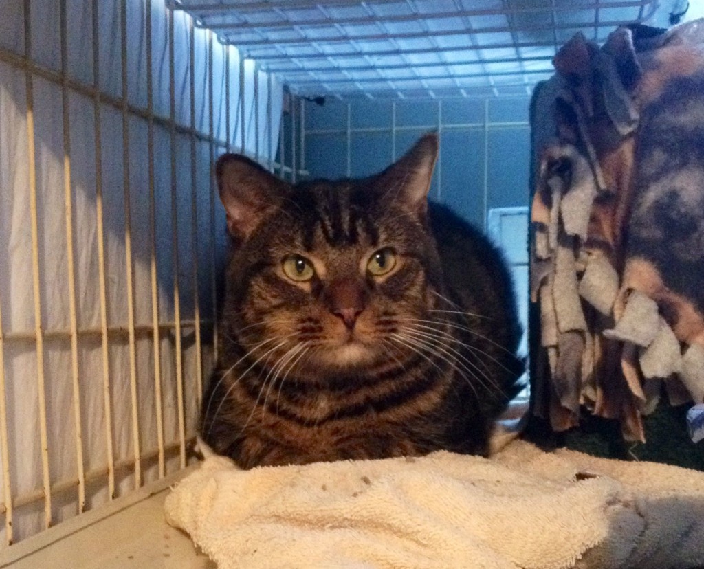 "They'll never find me in here. NEVER!" - Moe.