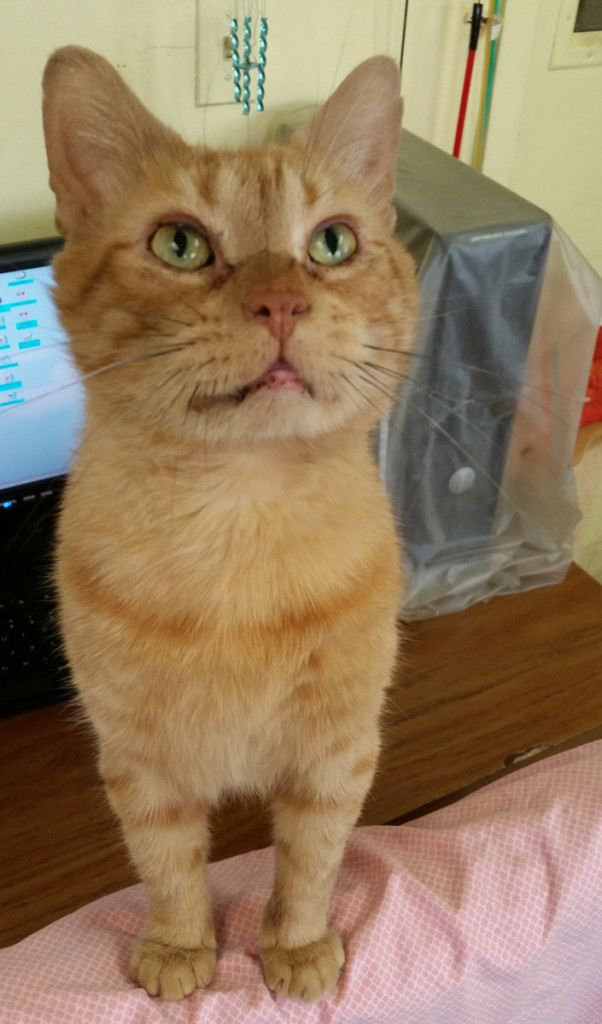 "Can I hug you?" -Jeremiah.