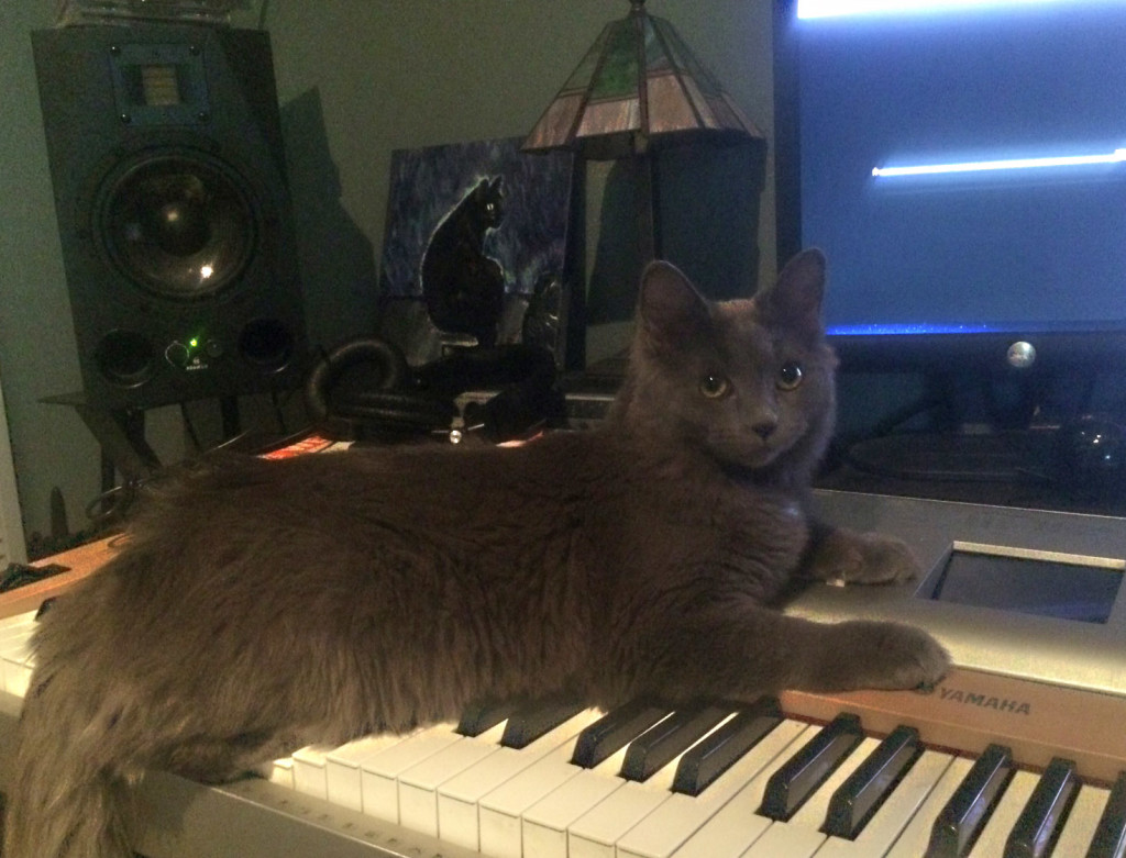 Since he's most like a tamarin, I tested the music on Louie. 