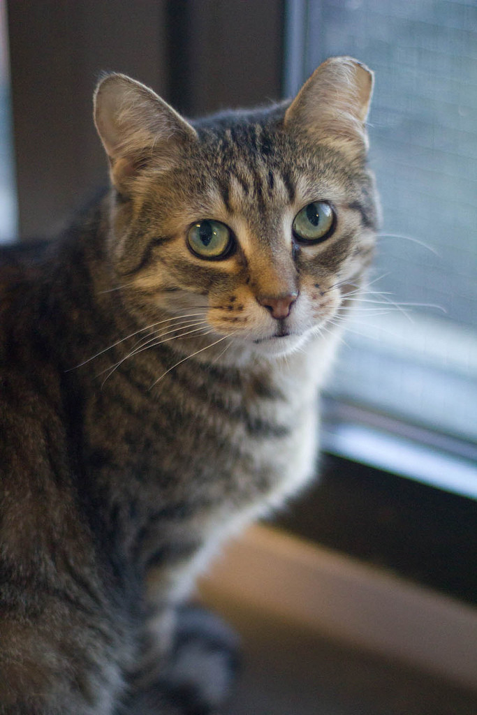 She will wait for you to come home every day.