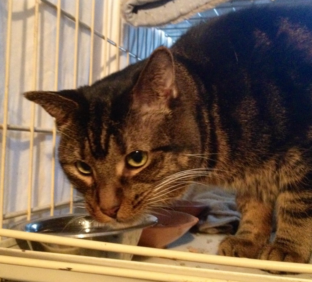 Checking to see if the coast is clear...