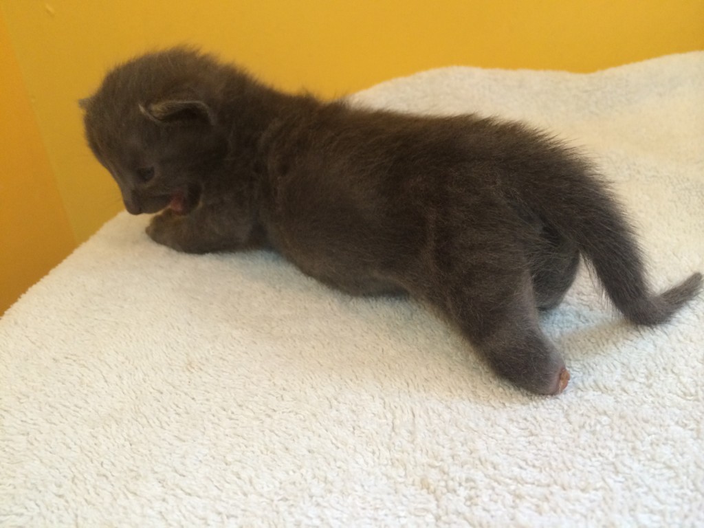 Eugene giving you a STUMPS UP! 