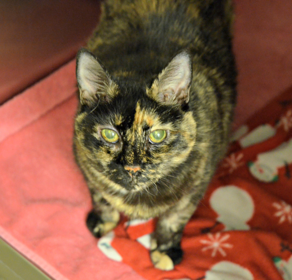 This is how they say "I adore you" in space-ese.