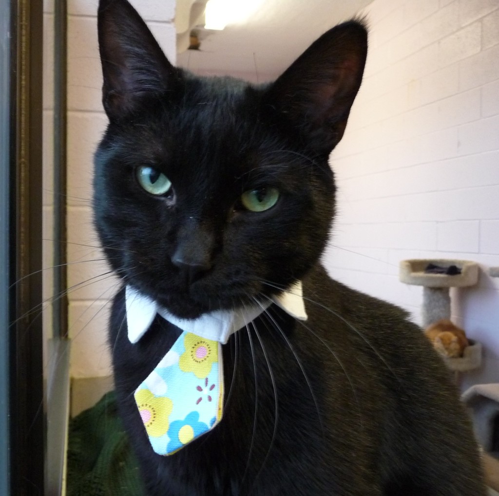 All dressed up .... and waiting for YOU.