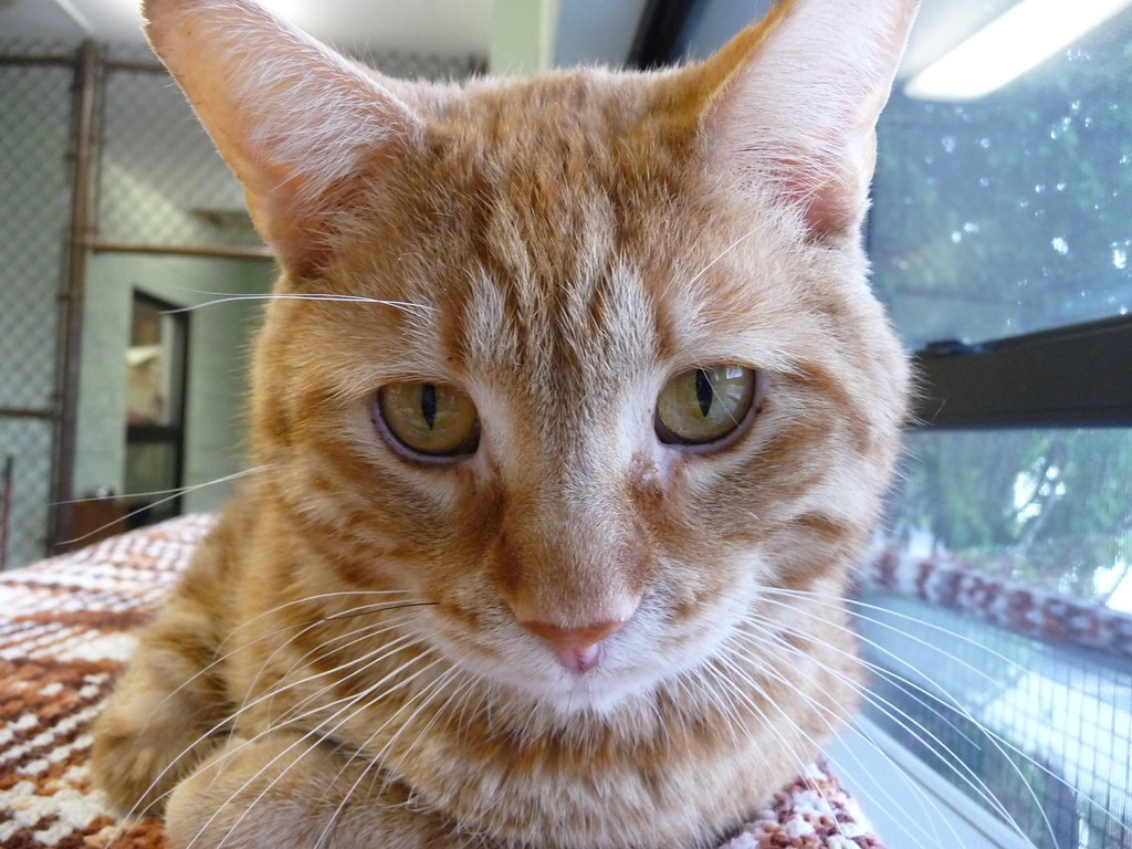 "The cafeteria is out of stew again? Nuts." - Paesan.